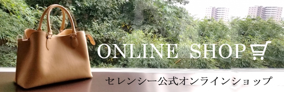 57%OFF!】 セレンシー CELENCEE フォーマルハンドバッグ オールレザー